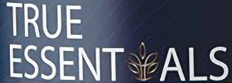 HAMZART INDIA ENTERPRISES